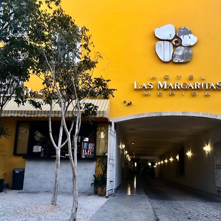 Hotel Las Margaritas 梅里达 外观 照片